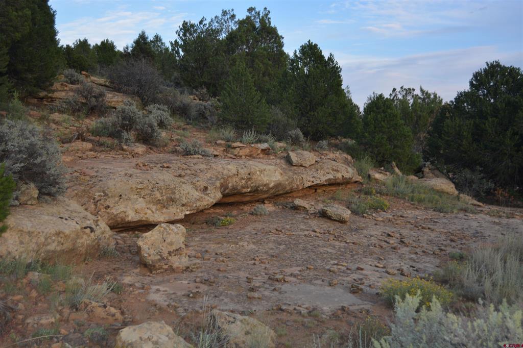 Tbd County Road 109 Property Photo 9