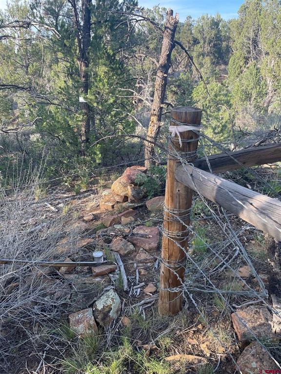 Tbd County Road 109 Property Photo 13