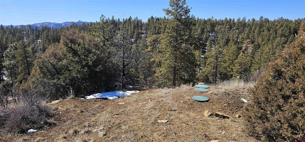 2326 Indian Land Property Photo 26