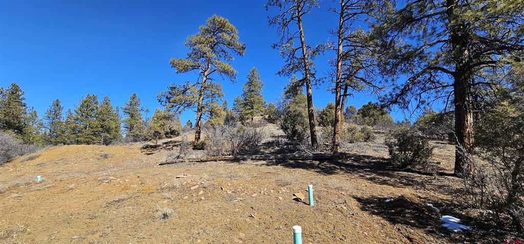 2326 Indian Land Property Photo 27