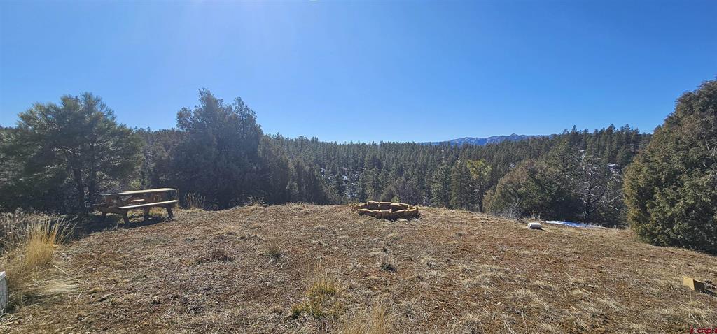 2326 Indian Land Property Photo 35
