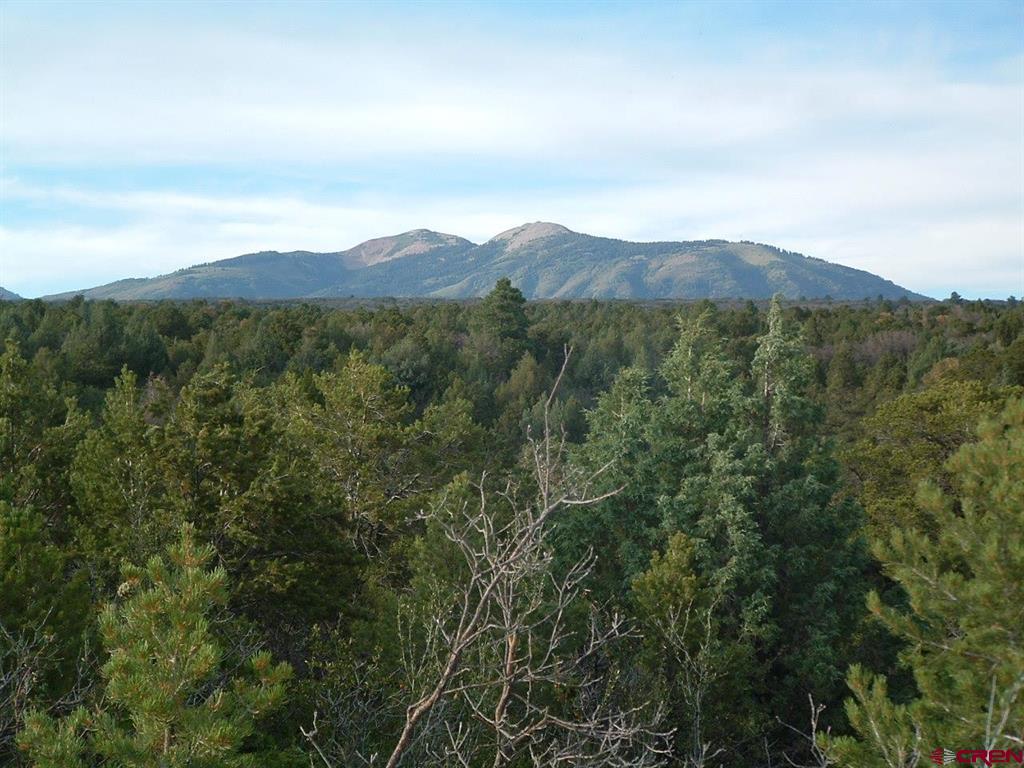 Tbd De Oro Way Property Photo 4