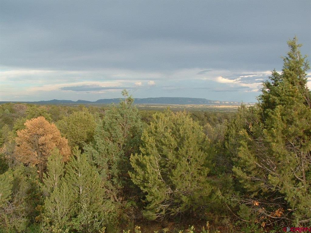 Tbd De Oro Way Property Photo 5