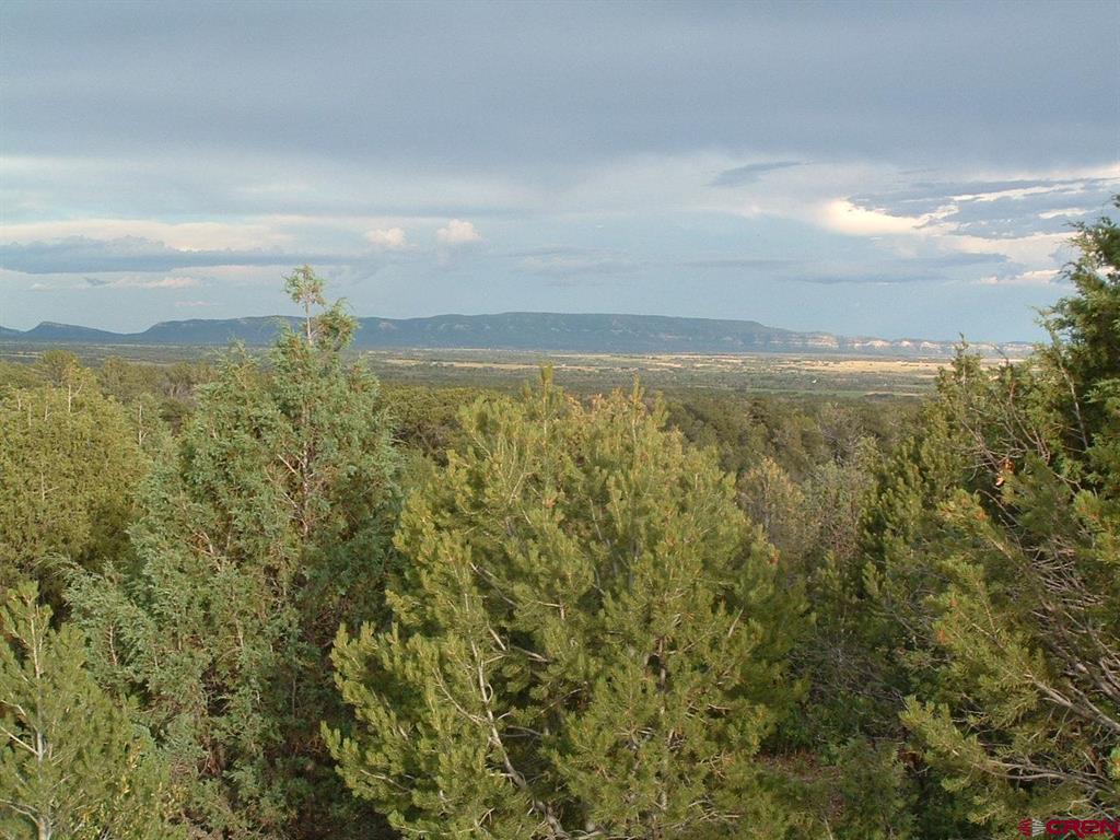 Tbd De Oro Way Property Photo 6