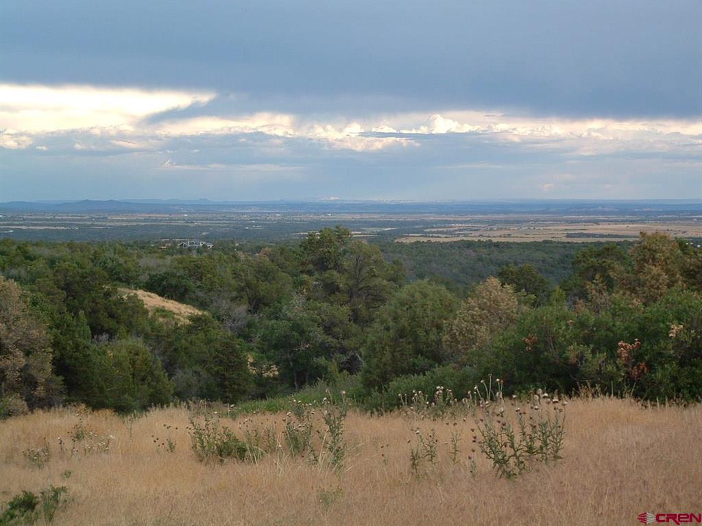 Tbd De Oro Way Property Photo 7