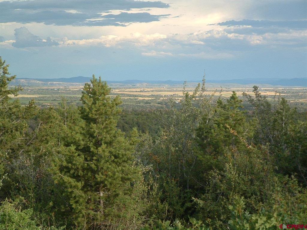 Tbd De Oro Way Property Photo 8