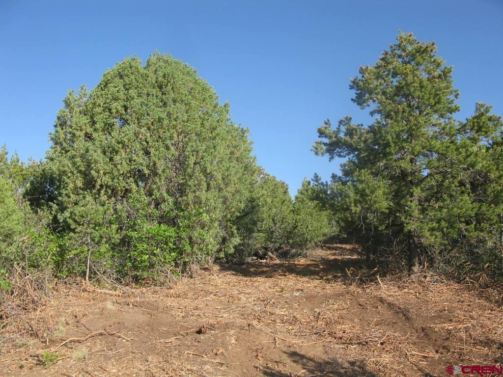 Tbd De Oro Way Property Photo 9