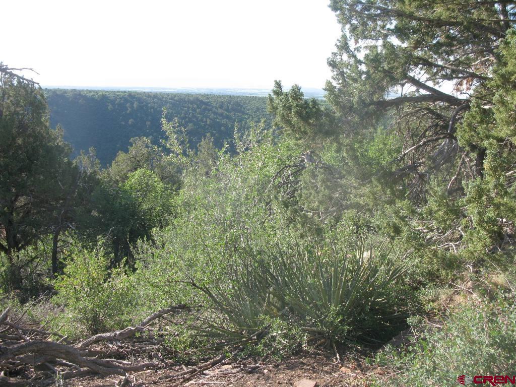 Tbd De Oro Way Property Photo 10