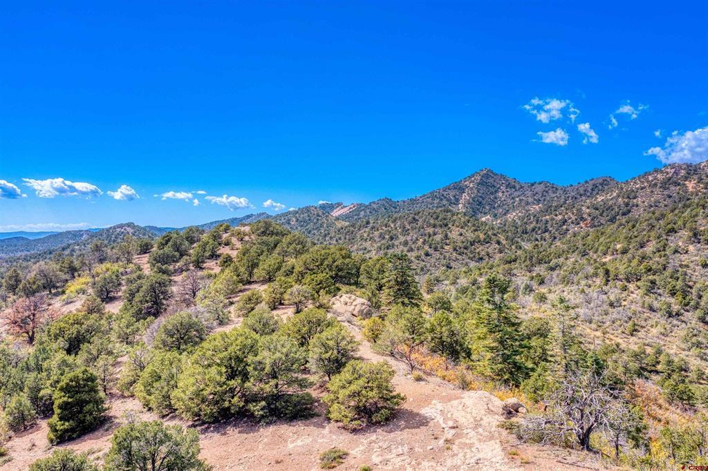 1050 Turkey Trot Lane Property Photo 1