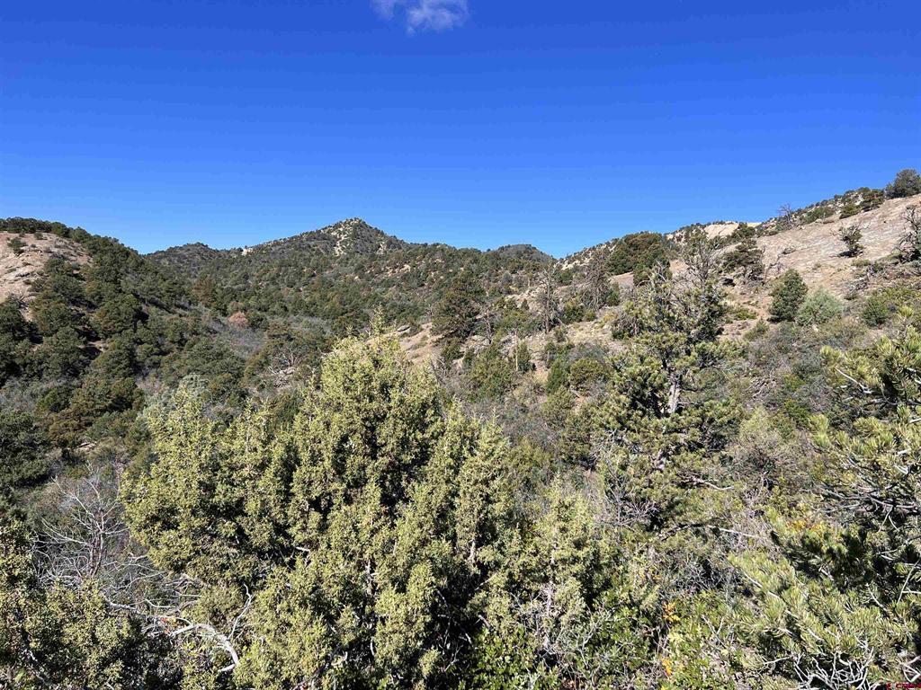 1050 Turkey Trot Lane Property Photo 10