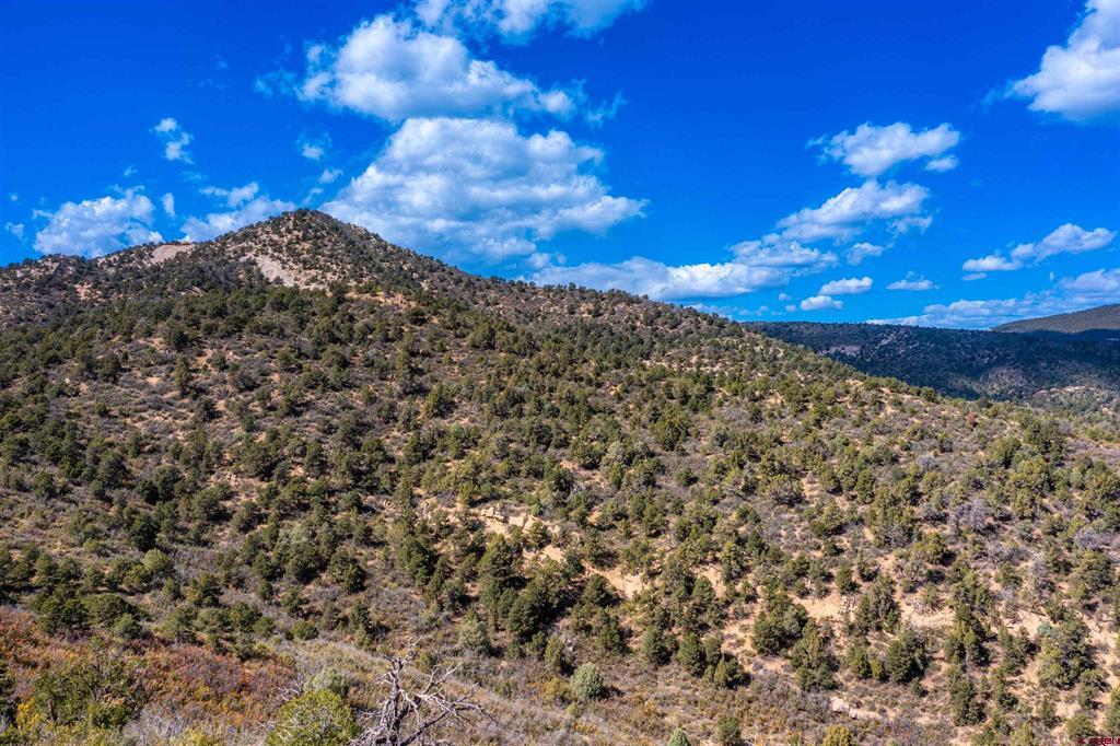 1050 Turkey Trot Lane Property Photo 14