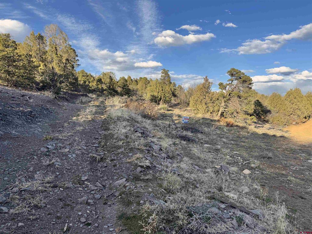 1050 Turkey Trot Lane Property Photo 25