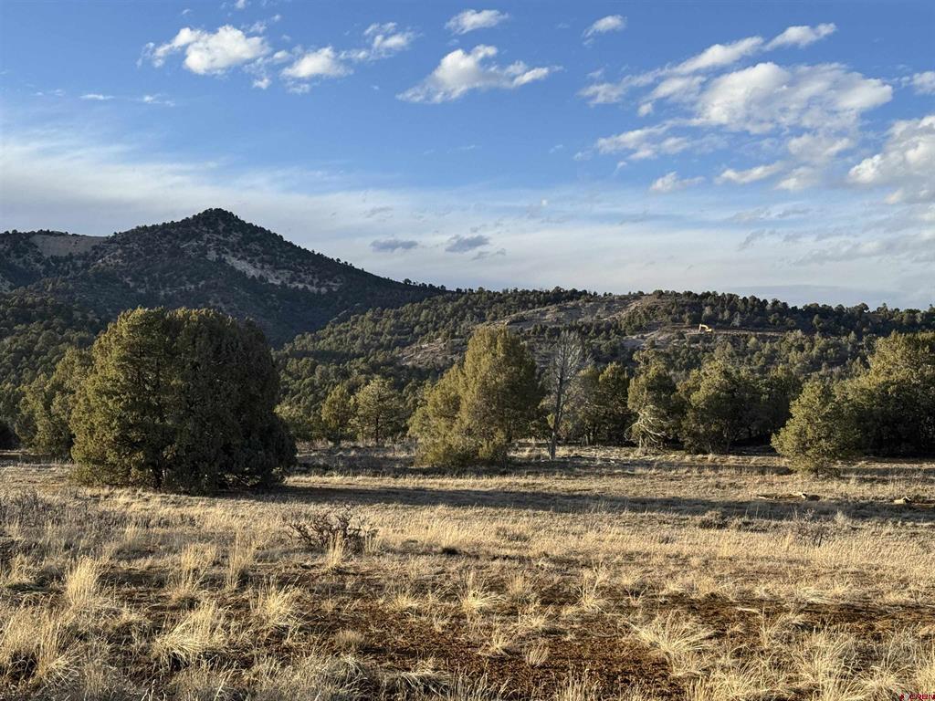1050 Turkey Trot Lane Property Photo 28