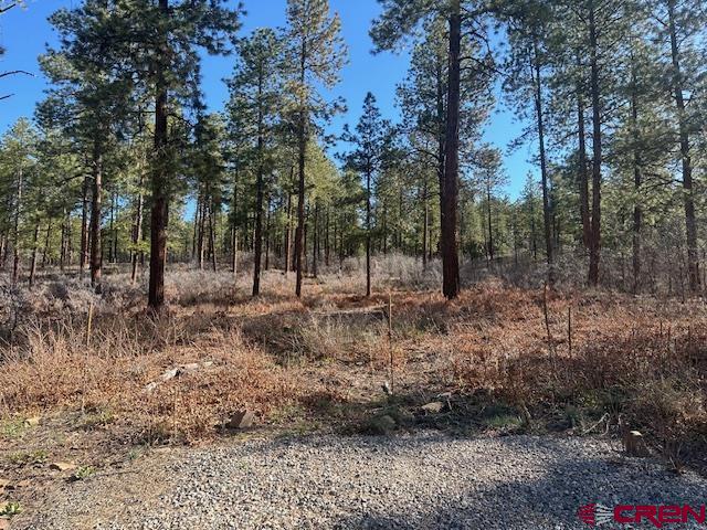 1086 Edgemont Highlands Drive Property Photo 4