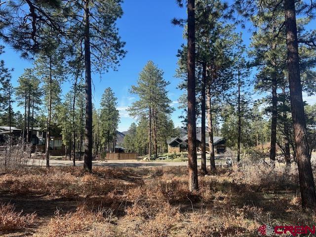 1086 Edgemont Highlands Drive Property Photo 6