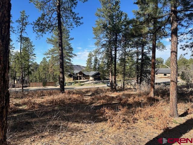 1086 Edgemont Highlands Drive Property Photo 7