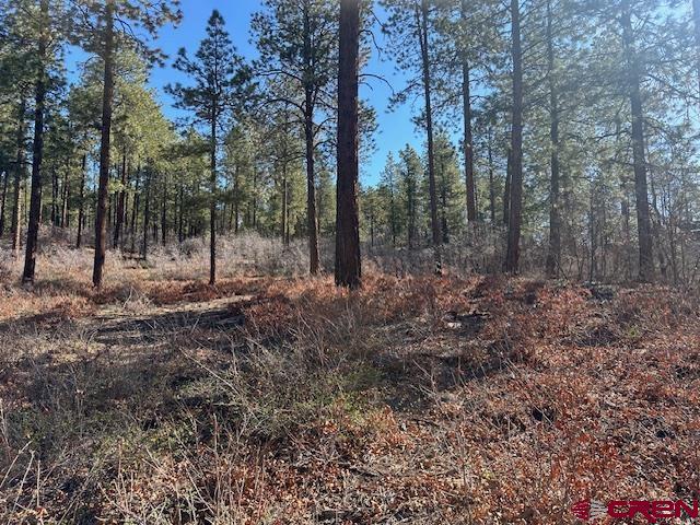 1086 Edgemont Highlands Drive Property Photo 8