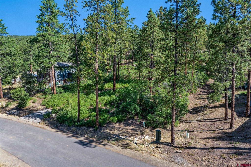 1086 Edgemont Highlands Drive Property Photo 9
