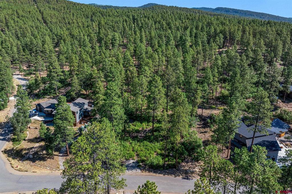 1086 Edgemont Highlands Drive Property Photo 10