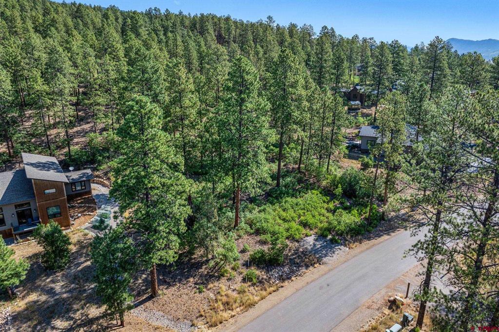 1086 Edgemont Highlands Drive Property Photo 11