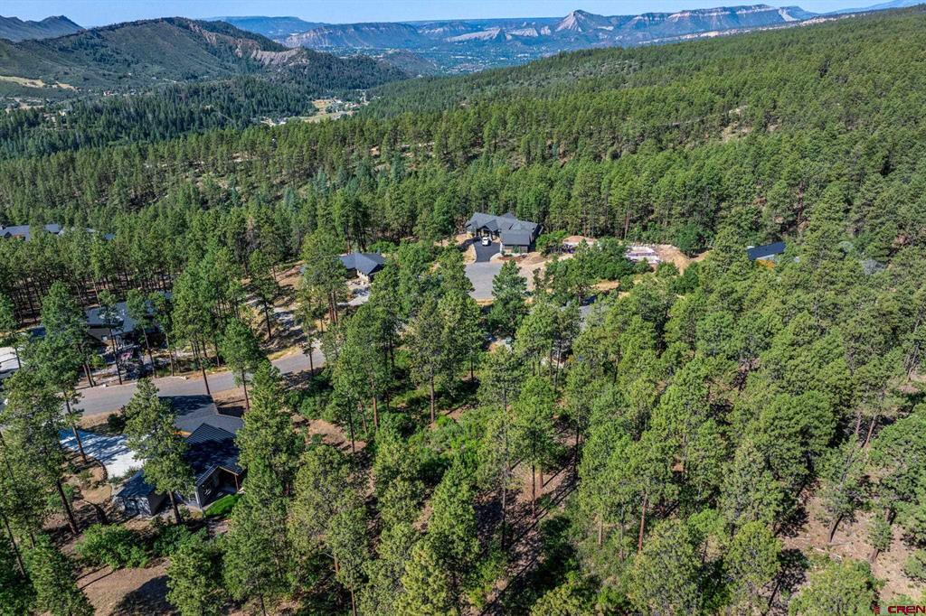 1086 Edgemont Highlands Drive Property Photo 12
