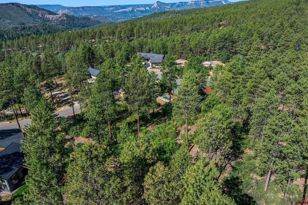 1086 Edgemont Highlands Drive Property Photo 13