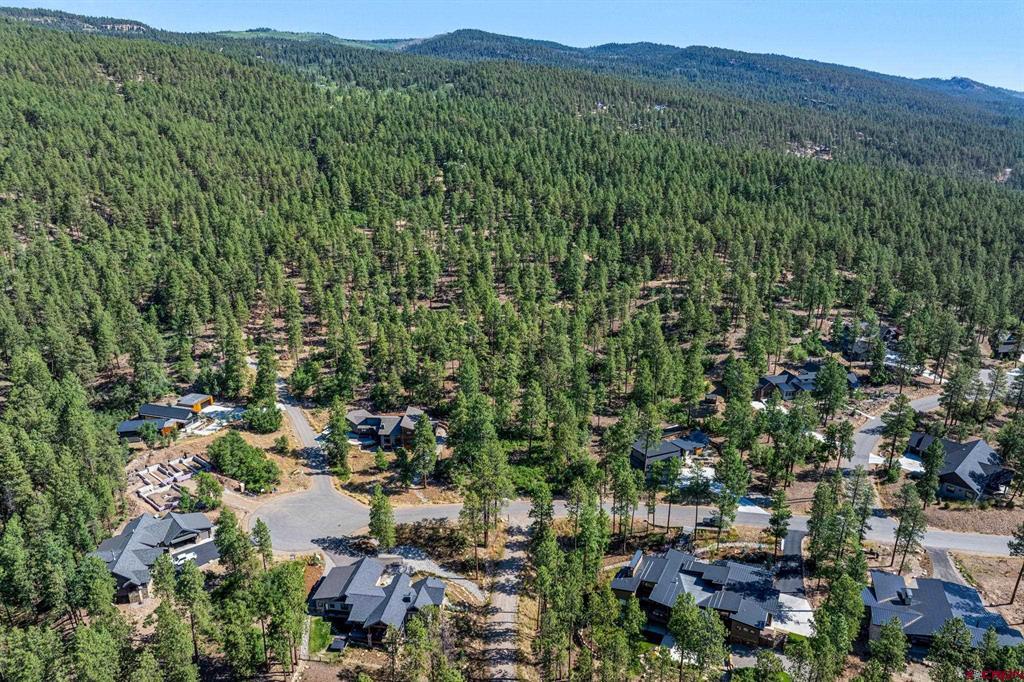 1086 Edgemont Highlands Drive Property Photo 15