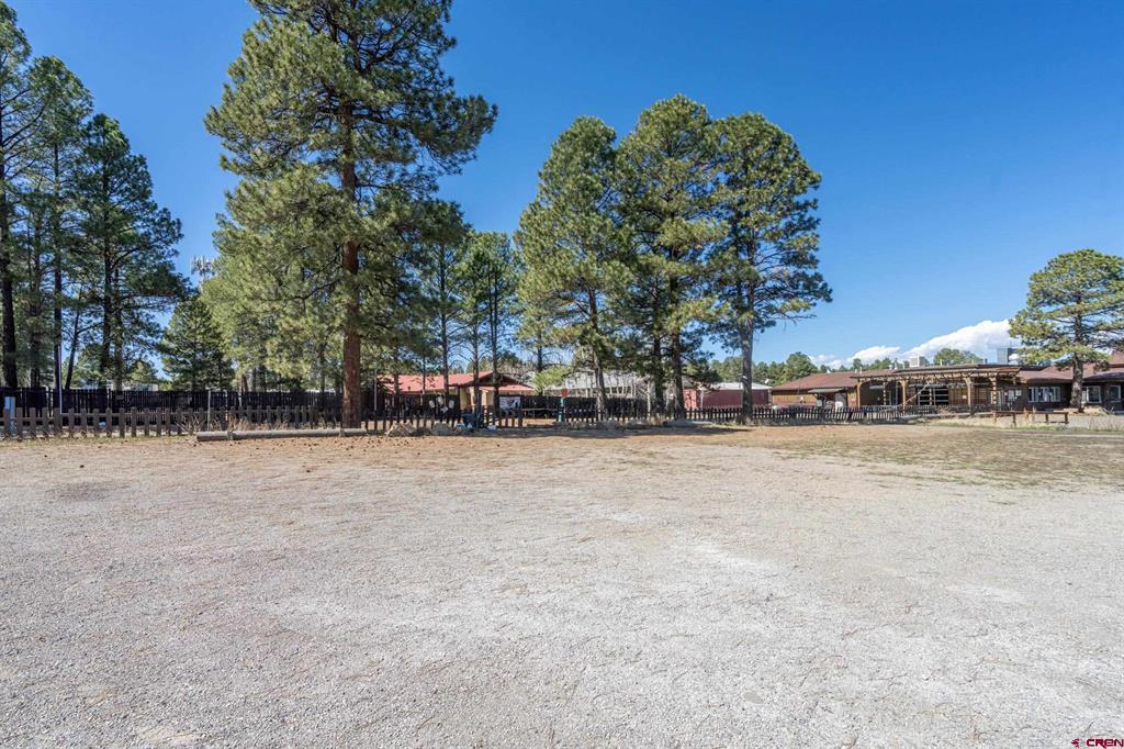 118 N Pagosa Boulevard Property Photo 22