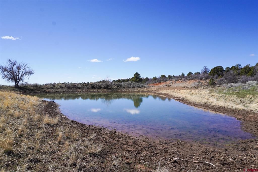 Tbdwp County Line Rd Property Photo 3