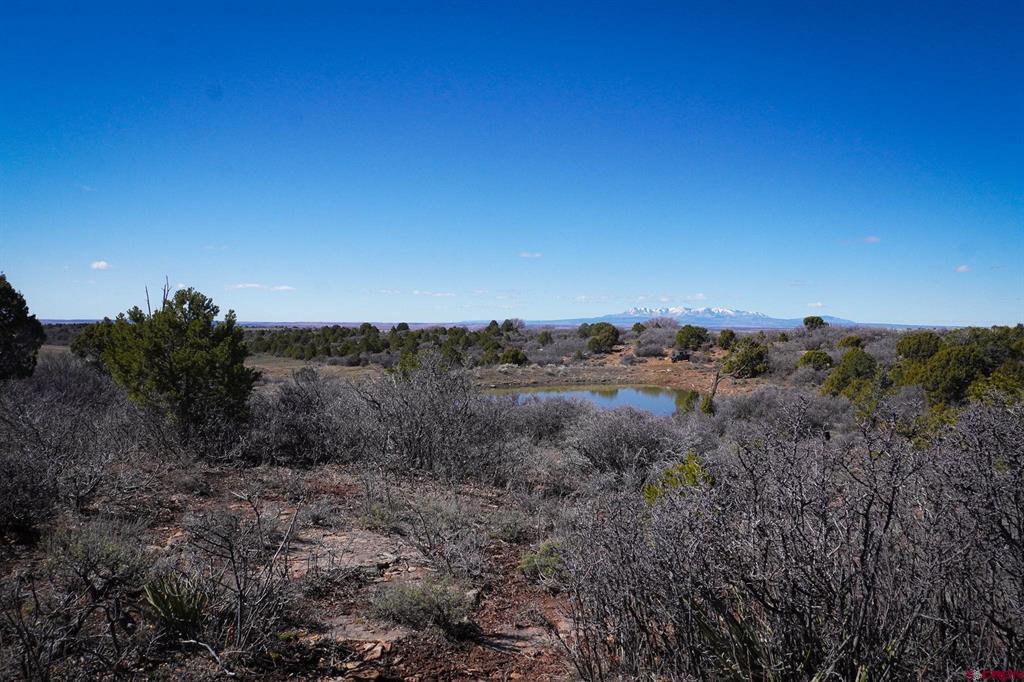 Tbdwp County Line Rd Property Photo 8