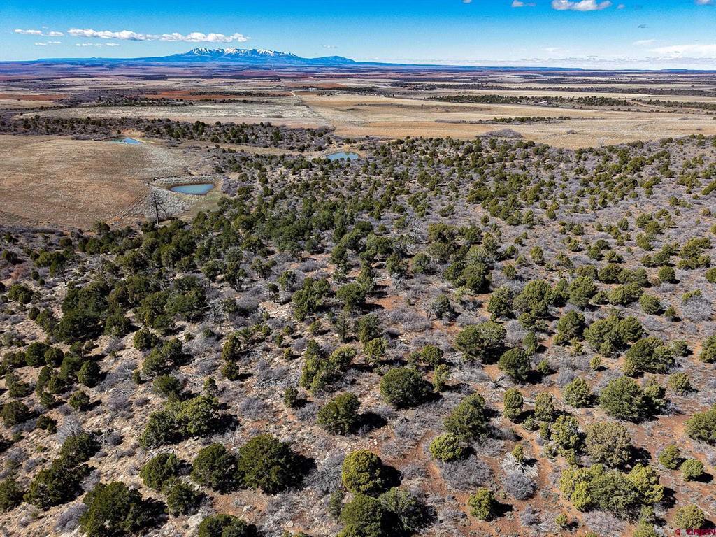 Tbdwp County Line Rd Property Photo 16