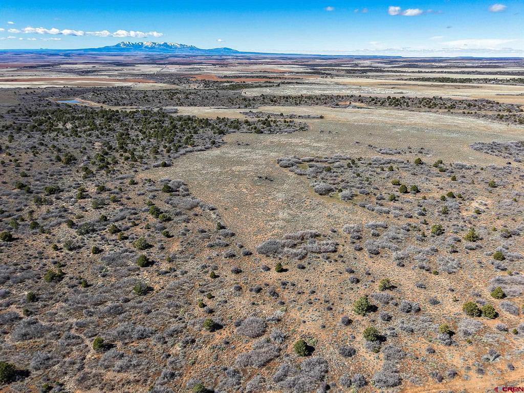 Tbdwp County Line Rd Property Photo 17