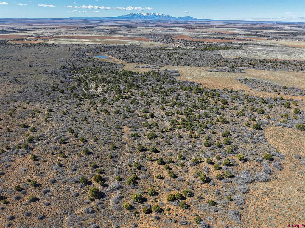 Tbdwp County Line Rd Property Photo 18