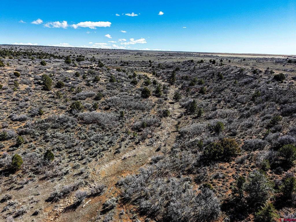 Tbdwp County Line Rd Property Photo 20
