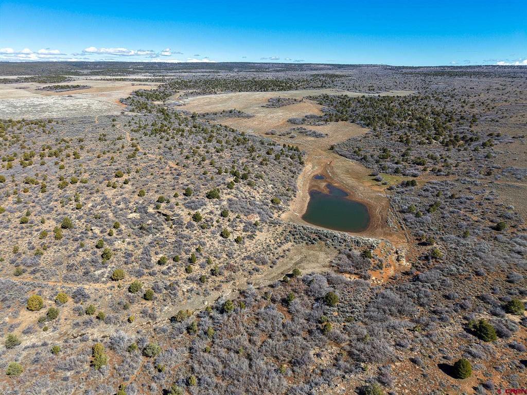 Tbdwp County Line Rd Property Photo 21