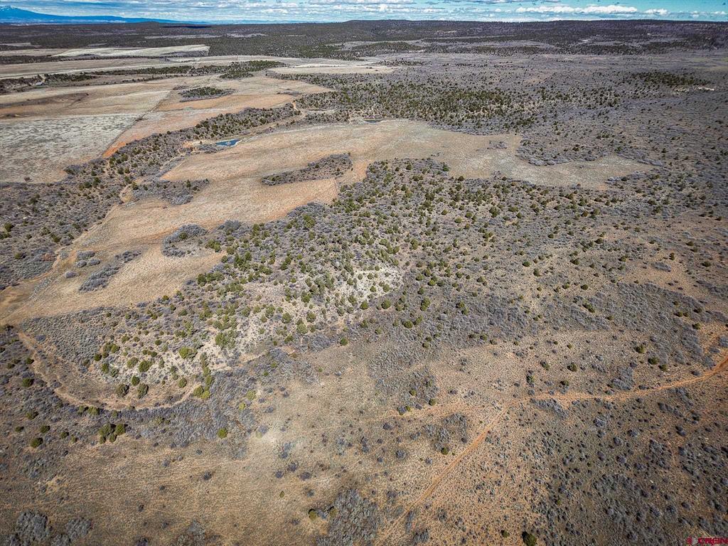 Tbdwp County Line Rd Property Photo 23