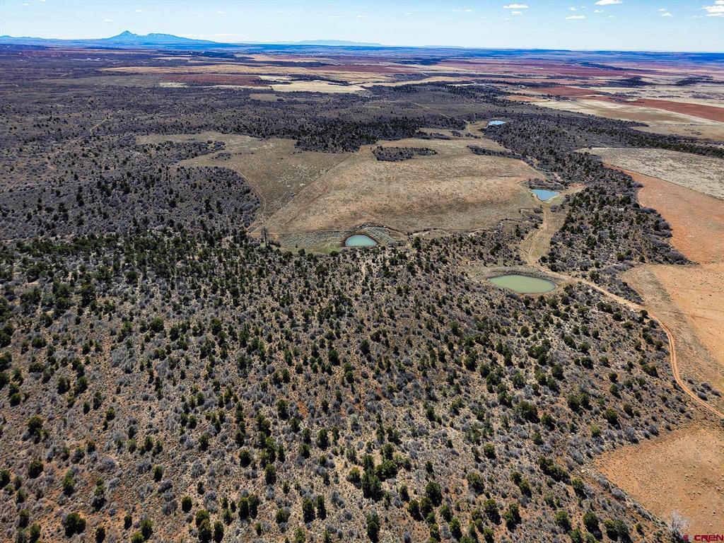 Tbdwp County Line Rd Property Photo 26