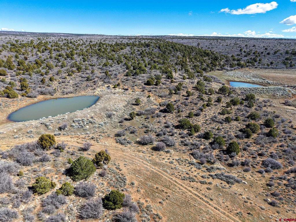 Tbdwp County Line Rd Property Photo 28