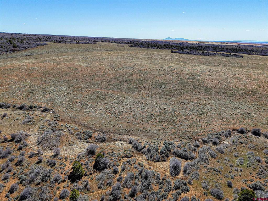 Tbdwp County Line Rd Property Photo 29