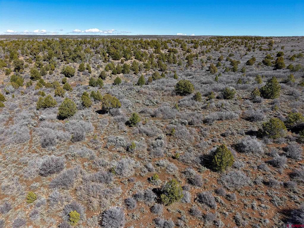 Tbdwp County Line Rd Property Photo 31