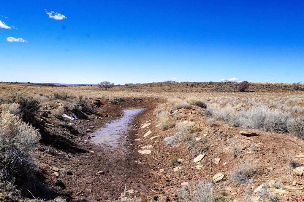 Tbdwp County Line Rd Property Photo 33