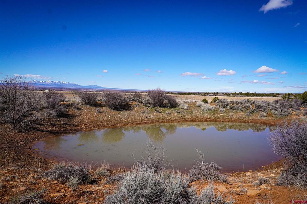 Tbdwp County Line Rd Property Photo 35