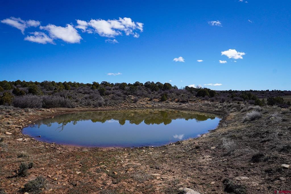 Tbdwp County Line Rd Property Photo 36