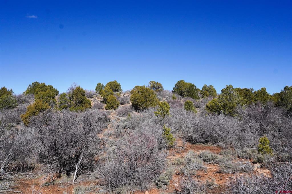 Tbdwp County Line Rd Property Photo 37