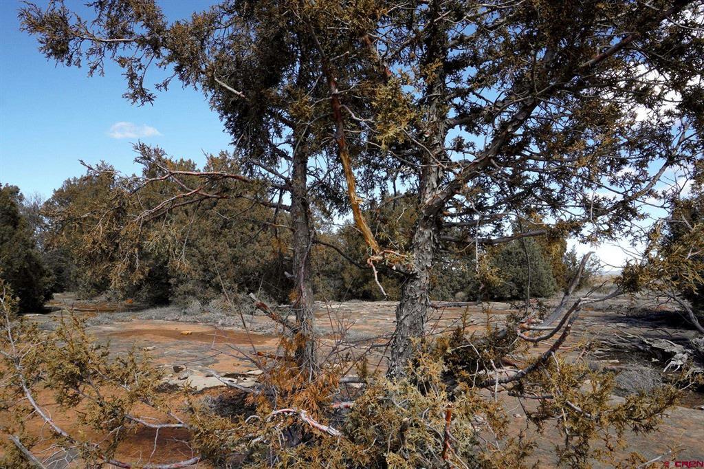 3995 County Road P Property Photo 43