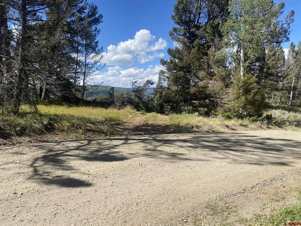 711 Crest Drive Property Photo 10