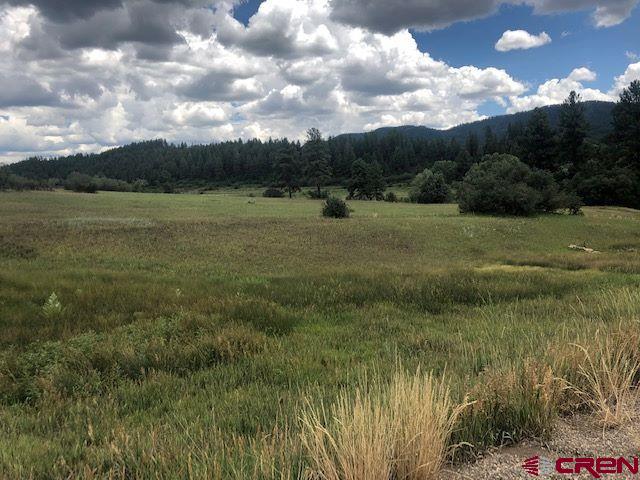 75 Ironwood Drive Property Photo 14