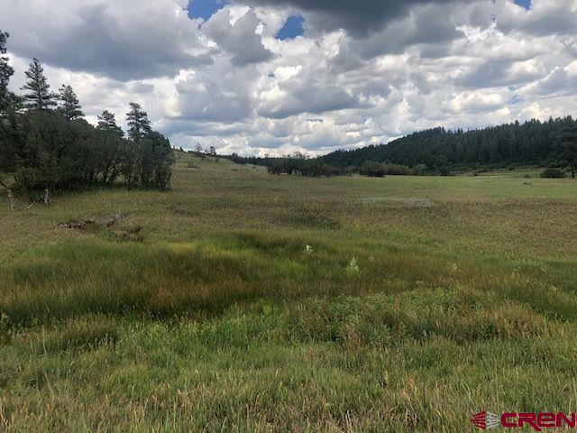 75 Ironwood Drive Property Photo 15