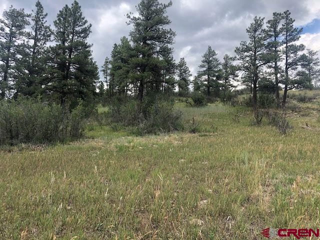 75 Ironwood Drive Property Photo 17
