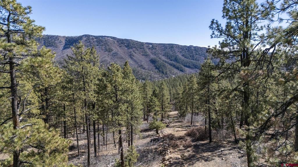Lot 5a Taylor Ranch Property Photo 3